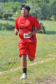 Thumbnail image of 