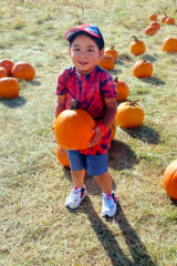 Raphael Herrera Jr., son of Shyanne Vigil and Raphael Herrera Sr., finds the perfect size of pumpkin to take home!