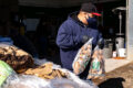 Thumbnail image of 