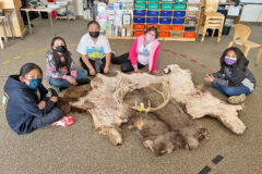 Tʉʉvʉchiu toghoyaqh to the Southern Ute Wildlife Department for providing us with these fine hides and antlers. The upper elementary students are already thinking of ways to use them! 