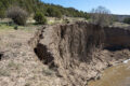 Thumbnail image of 