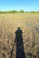 Thumbnail image of 