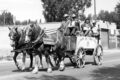 Thumbnail image of 