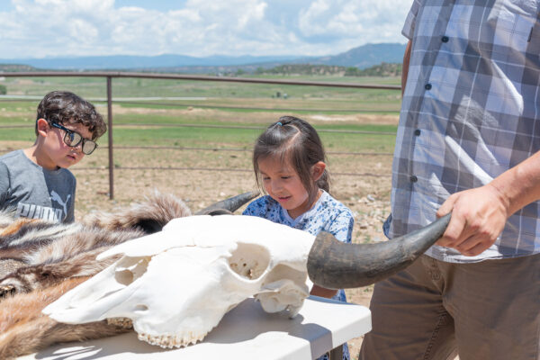 Ezra Watts and Ammonie Johnson observed different types of small and medium animal pelts as well as a Bull Bison Skull which is part of a presentation given by Wildlife Technician Jon Broholm during their trip to the Southern Ute Bison Corral with Southern Ute Wildlife on Tuesday, June 28.  