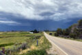 Thumbnail image of 