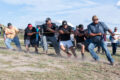 Thumbnail image of 