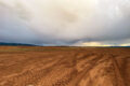 Thumbnail image of 