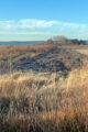 Thumbnail image of 