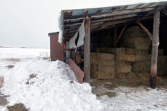 Clearing out snow around barns, workshops, driveways, and feeding areas is crucial for access.
