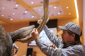 Thumbnail image of 
