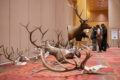 Thumbnail image of 