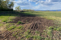 Much time is spent from March through June prepping the ground for an anticipated growing season.  This patch of ground will hopefully be added into production for late 2023. 