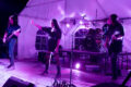 Thumbnail image of 