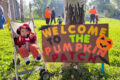 Thumbnail image of 