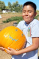 Thumbnail image of 