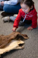 Thumbnail image of 