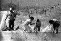 Thumbnail image of 