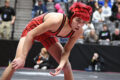 Thumbnail image of 