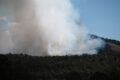 Thumbnail image of 