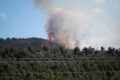 Thumbnail image of 
