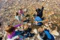 Thumbnail image of 