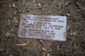 Thumbnail image of 