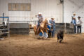 Thumbnail image of 