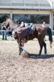 Thumbnail image of 