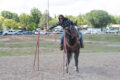 Thumbnail image of 