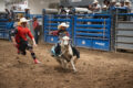 Thumbnail image of 