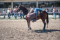 Thumbnail image of 