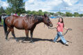 Thumbnail image of 