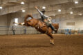 Thumbnail image of 