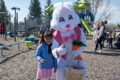 Thumbnail image of 
