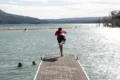 Thumbnail image of 