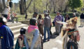Thumbnail image of 