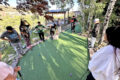 Thumbnail image of 