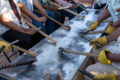 Thumbnail image of 