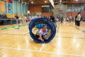Thumbnail image of 