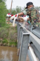 Thumbnail image of 