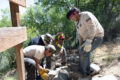 Thumbnail image of 