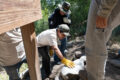 Thumbnail image of 