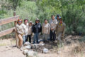 Thumbnail image of 