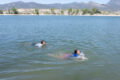 Thumbnail image of 