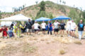 Thumbnail image of 