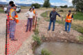 Thumbnail image of 