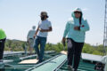 Thumbnail image of 