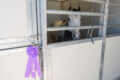 Thumbnail image of 