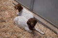 Thumbnail image of 