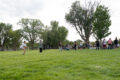 Thumbnail image of 